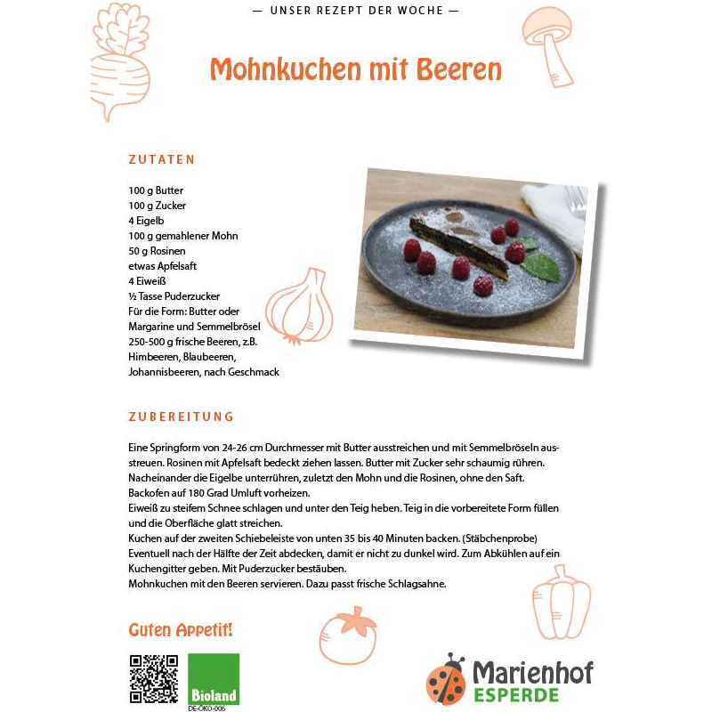 platzhalter