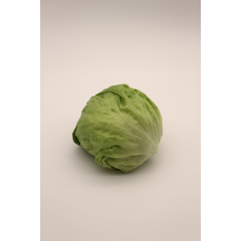Eisbergsalat eigen