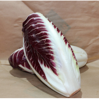 Radicchio