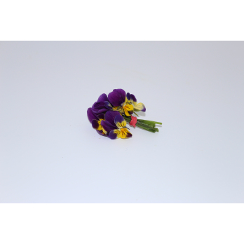 Essbare Blüten