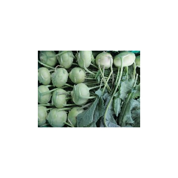 Kohlrabi