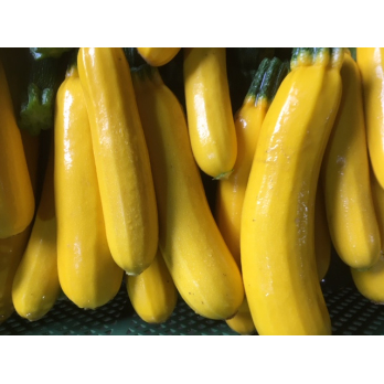Zucchini gelb