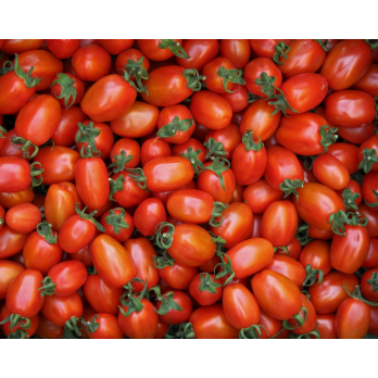 Dattelcherrytomate