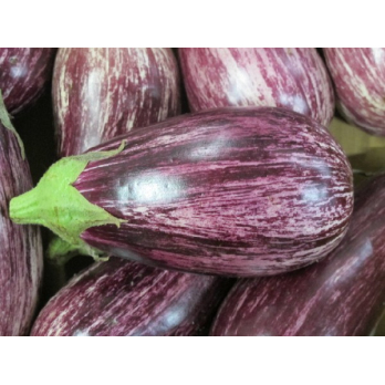 Aubergine gestreift eigen