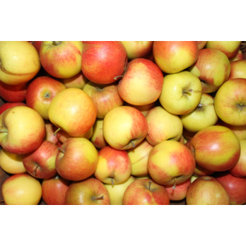 Apfel für Kinder