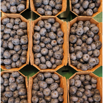 Heidelbeeren 250g