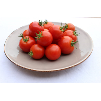 Tomate Campari