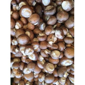 Champignons
