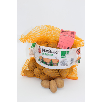 Kartoffel Agria 5 kg