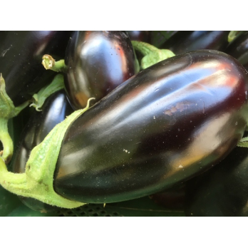 Aubergine schwarz eigen