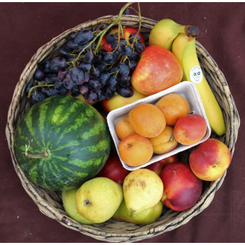 Firmenkiste Obst groß