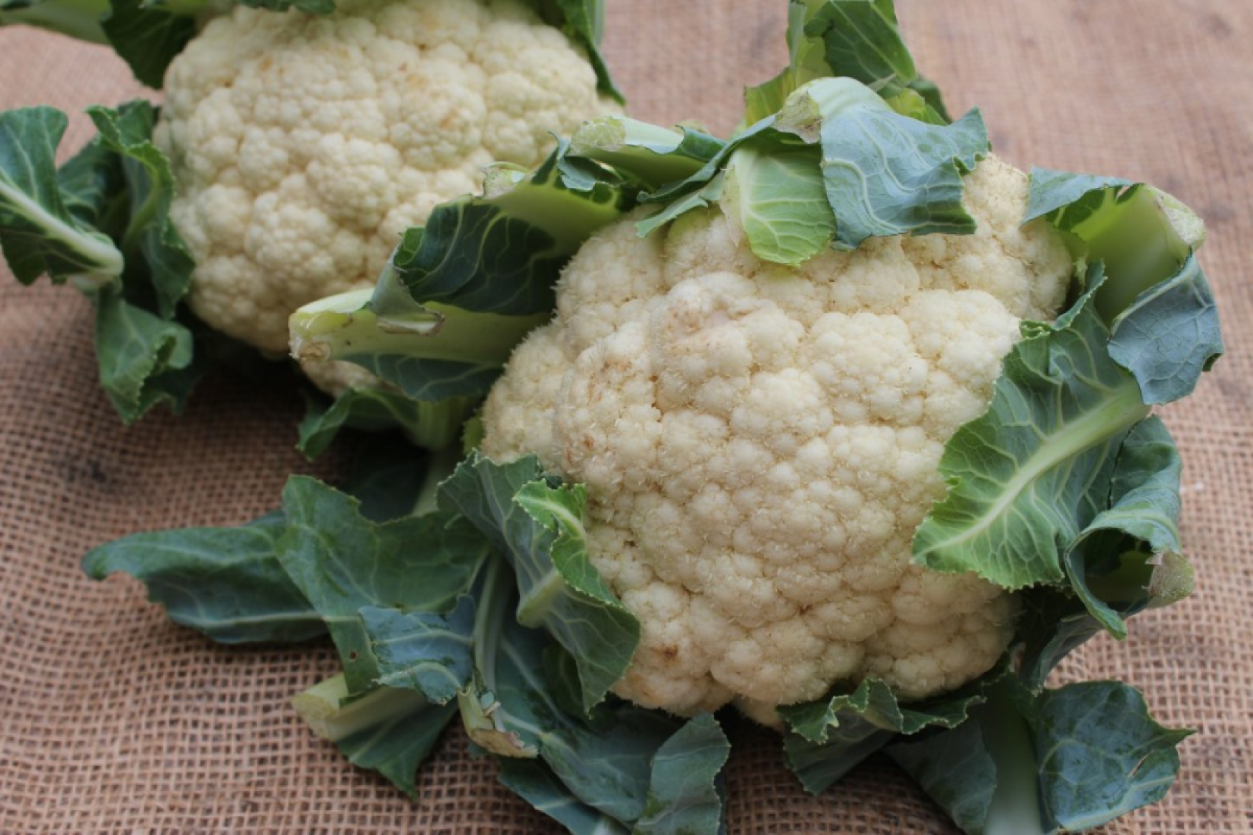 Blumenkohl