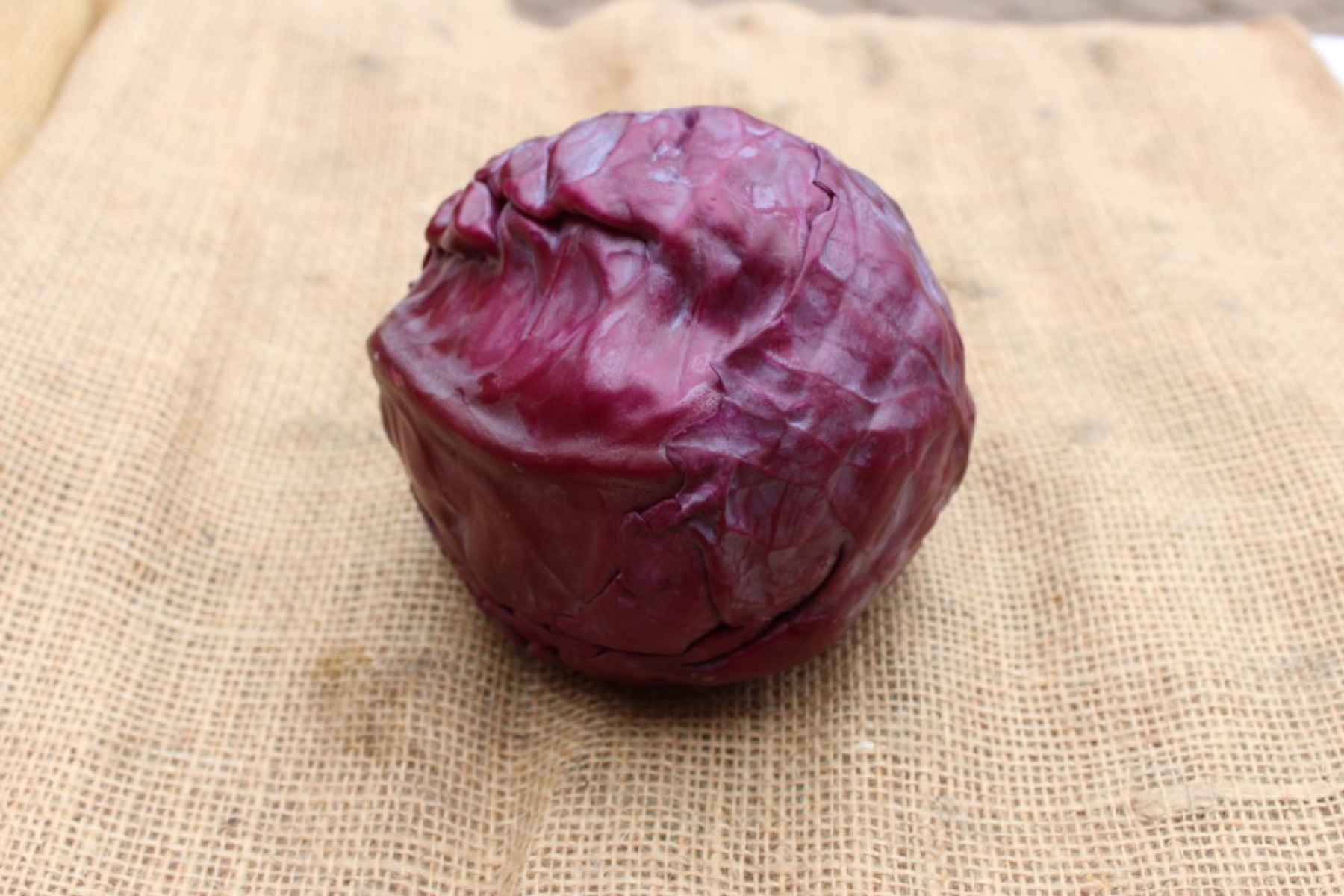 Rotkohl