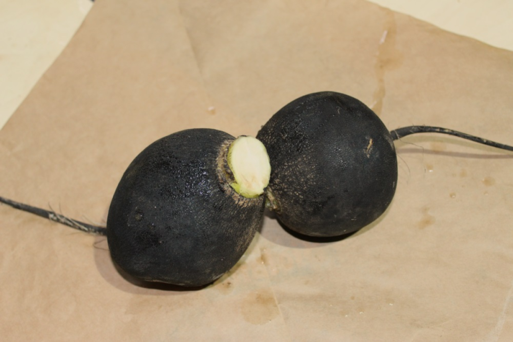 Schwarzer Rettich, eigen