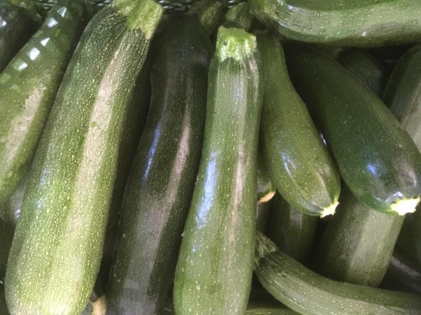 Zucchini grün