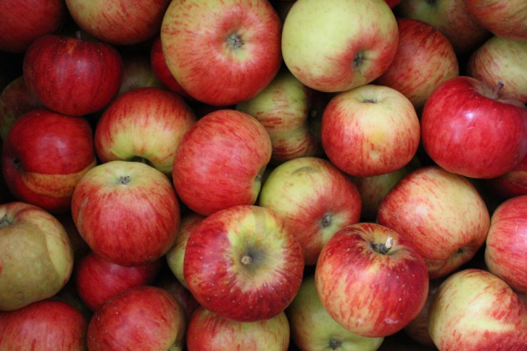 Apfel Topaz (süß-sauer)