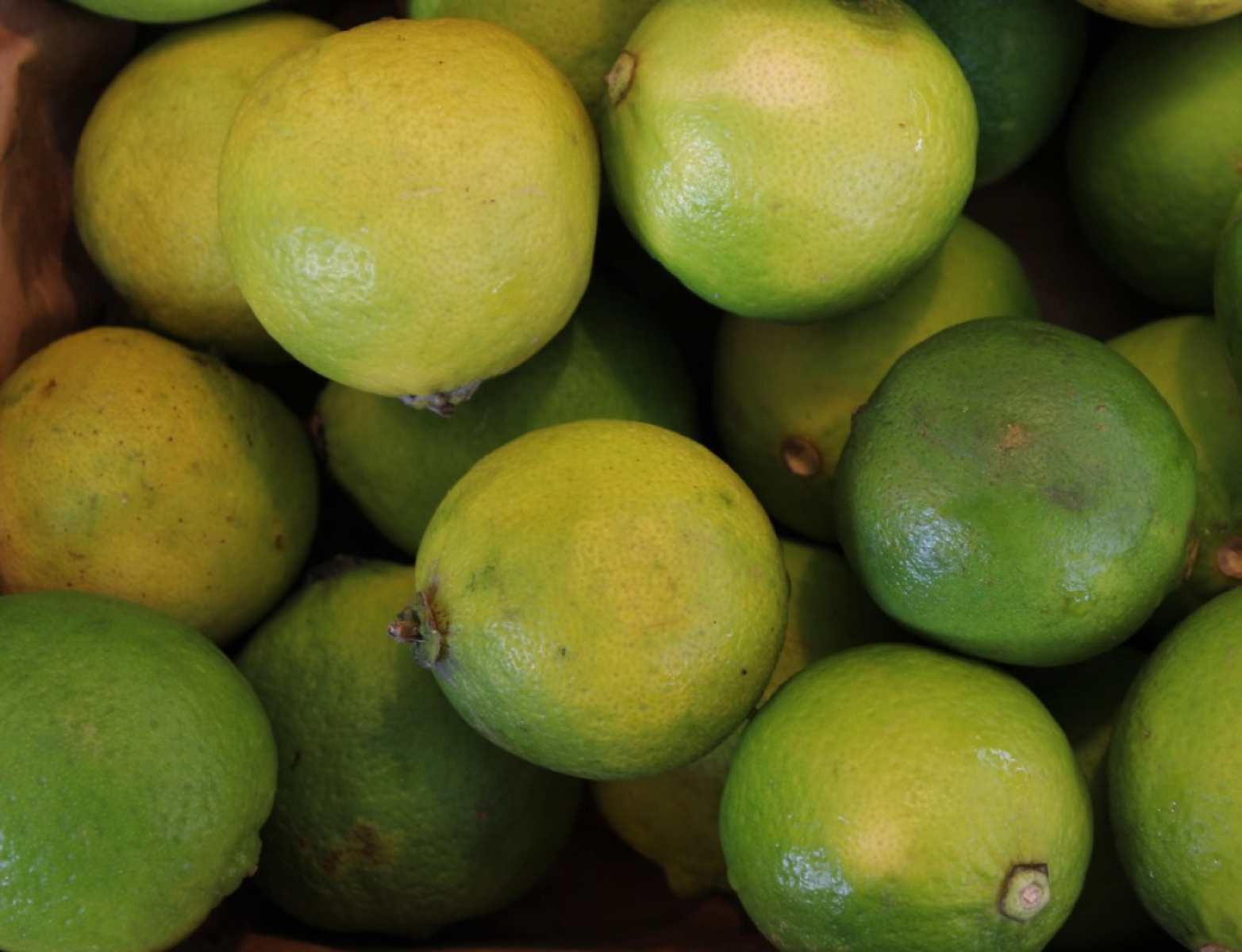 Limette
