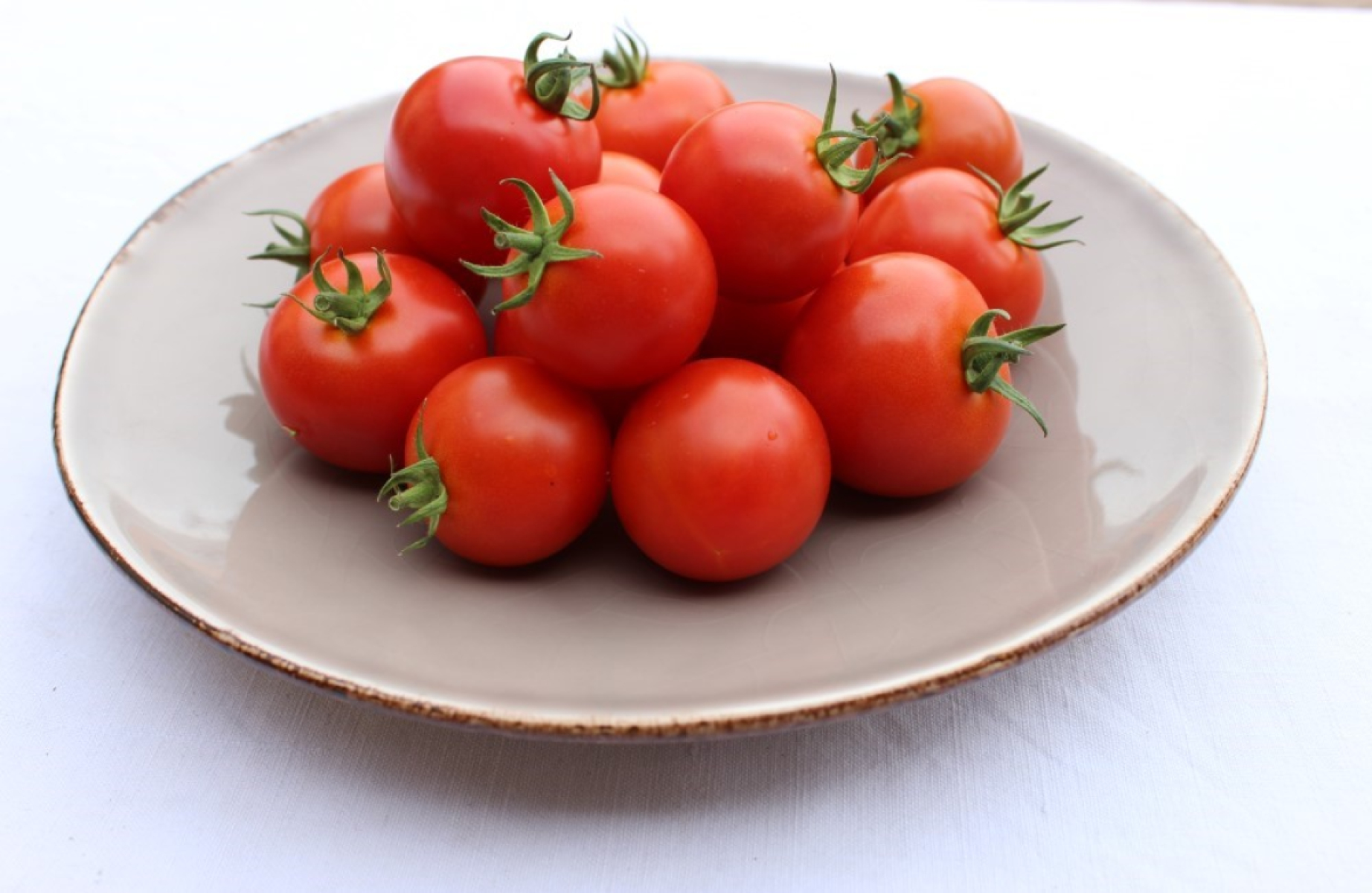 Tomate Campari