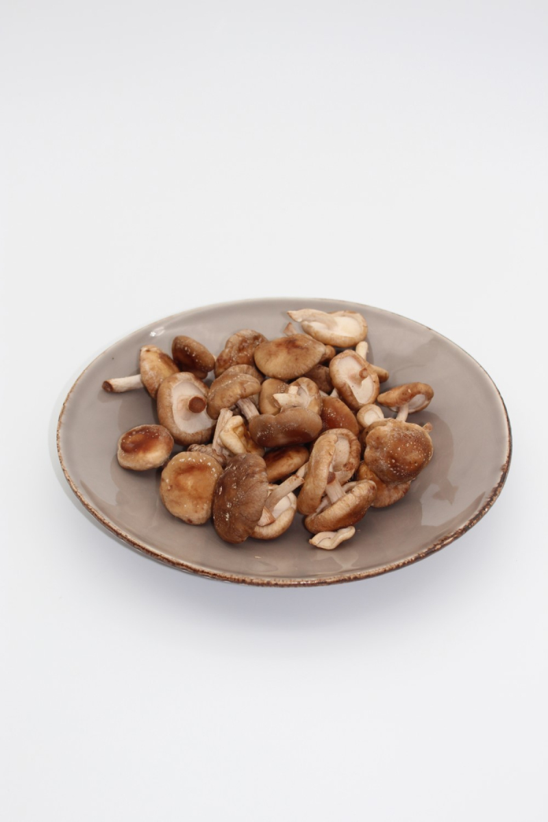 Shitake