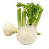 Fenchel, eigen