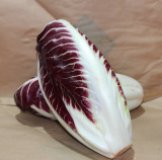 Radicchio