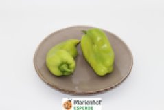 Paprika grün