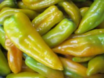 Spitzpaprika gelb/orange, eigen
