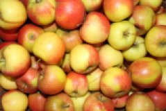 Apfel für Kinder