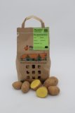 Kartoffel Bellinda 2 kg (festk.)