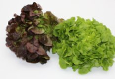 Salat der Woche