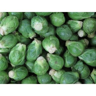 Rosenkohl