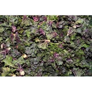 Flower Sprouts