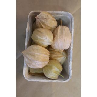 Andenbeere/ Physalis, eigen