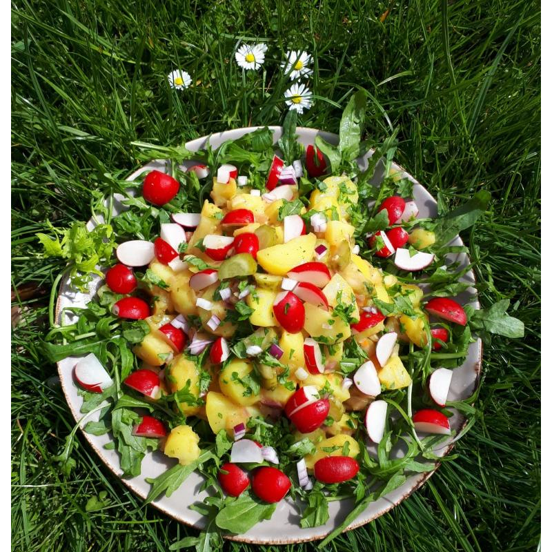 platzhalter
