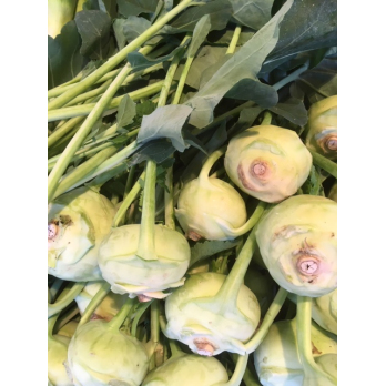 Kohlrabi