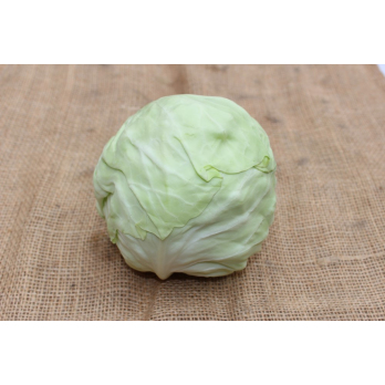Weißkohl
