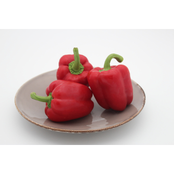 Paprika rot