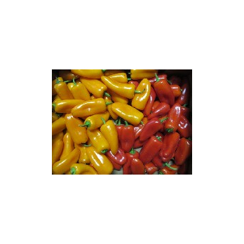 Snackpaprika