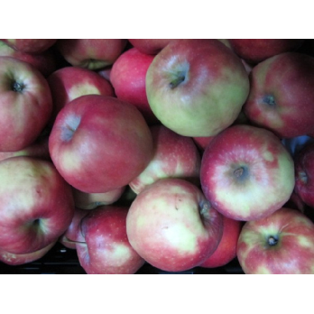 Apfel Marnica (süß)