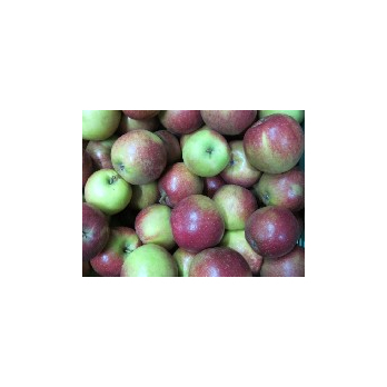 Apfel Natyra (knackig-saftig)