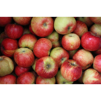 Apfel Topaz (süß-sauer)