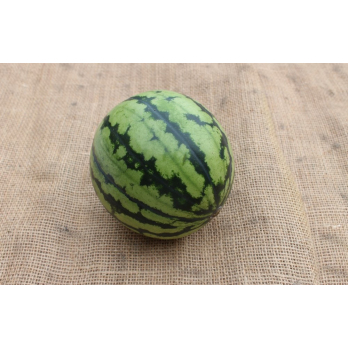 Mini-Wassermelone