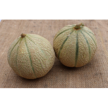 Melone Charentais