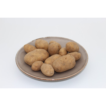 Kartoffel Agria 12,5 kg